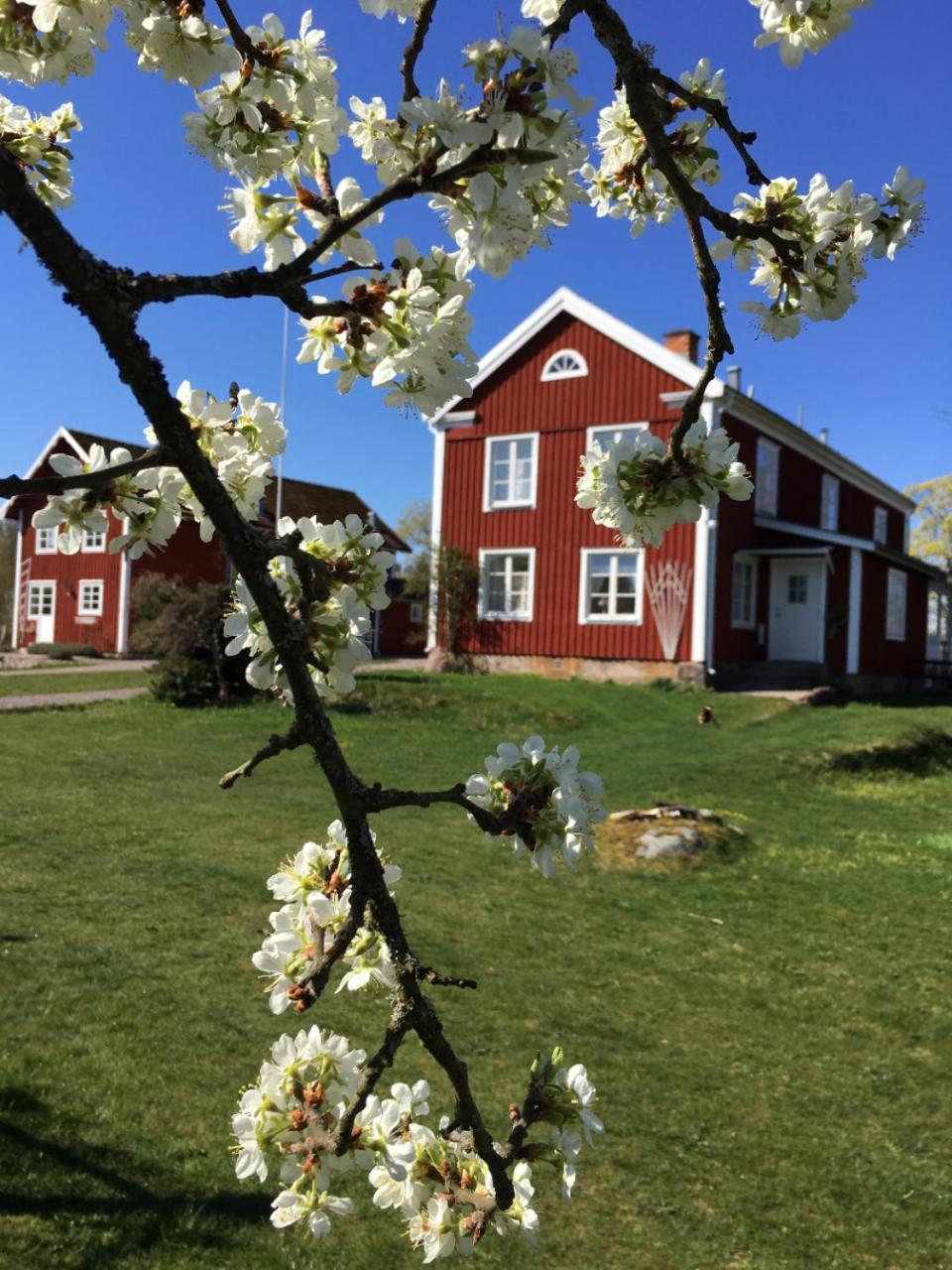 Snokebo Gard Villa Vimmerby Exterior photo